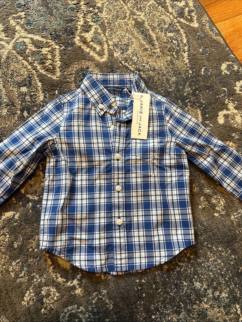Janie and Jack Blue and White Plaid Button-Down Shirt